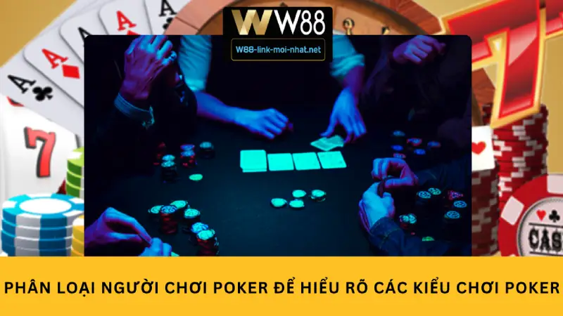 Phân loại người chơi Poker để hiểu rõ các kiểu chơi Poker
